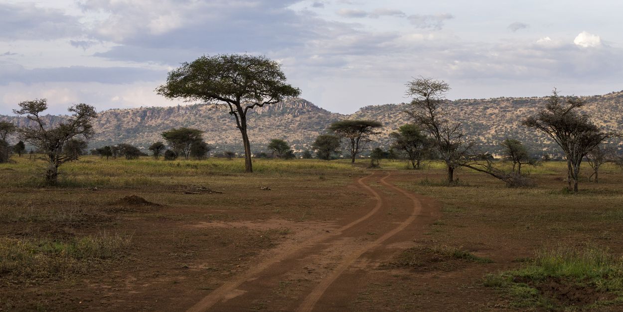 Serengeti en Tanzania Serengeti, Tanzania