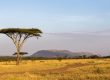 safari en el Parque Nacional del Serengueti en Tanzania