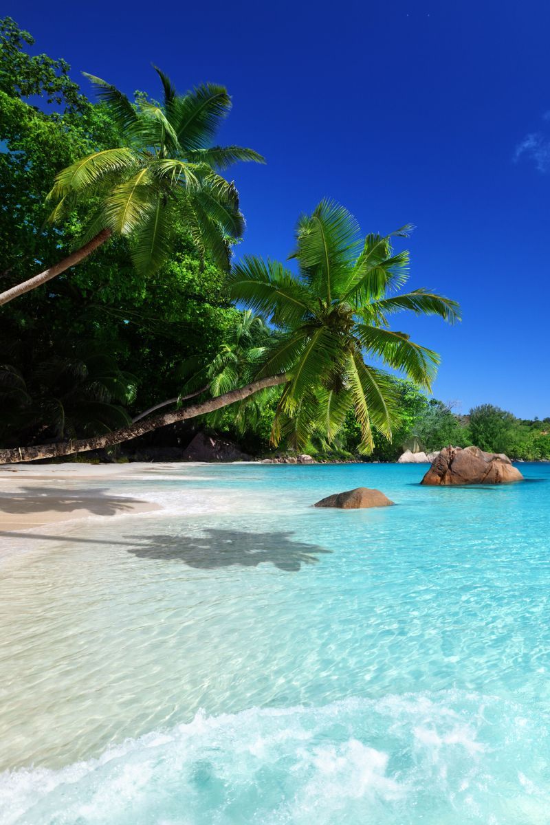 Temporada ideal para Seychelles Meses recomendados para Seychelles