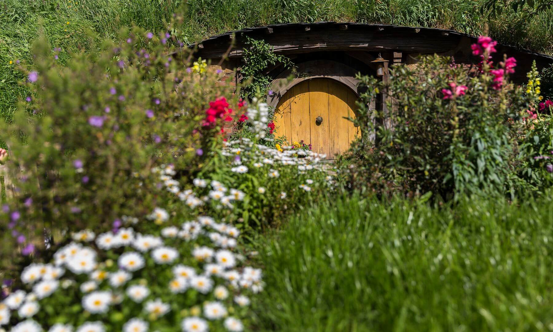 hobbiton nz hobbiton