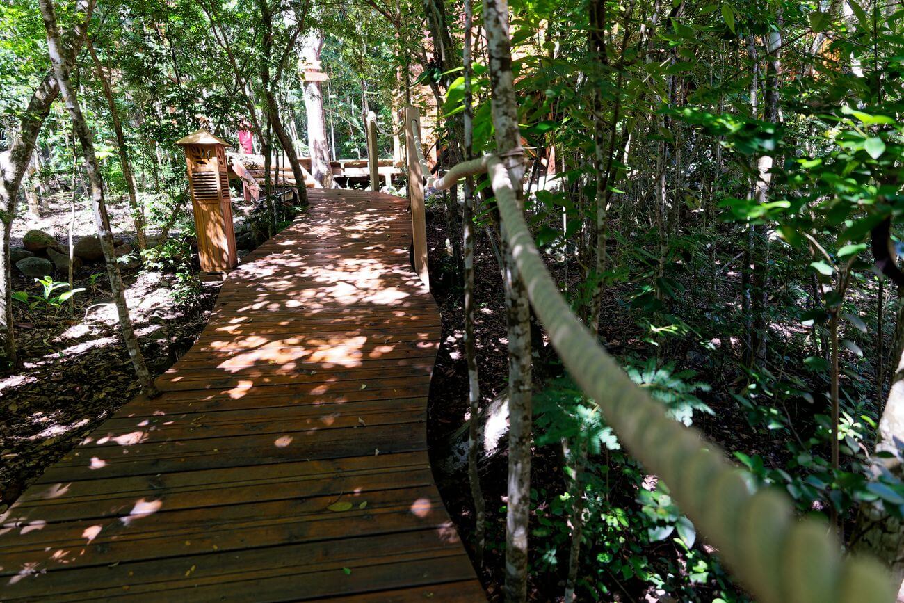 acceso a los bungalows en los árboles acceso al alojamiento de otros