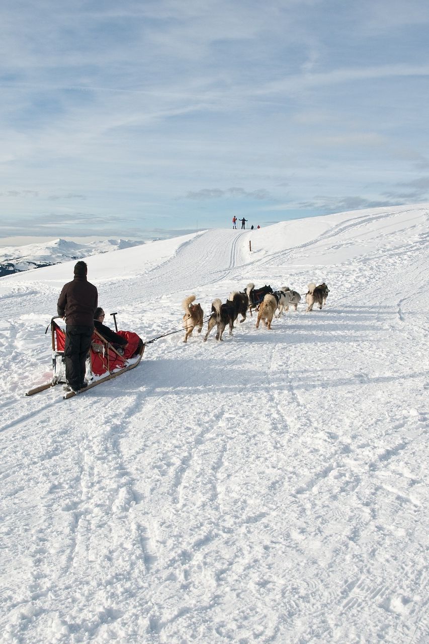 mejores actividades: trineo tirado por perros en Quebec, Canadá trineo tirado por perros en Quebec, Canadá