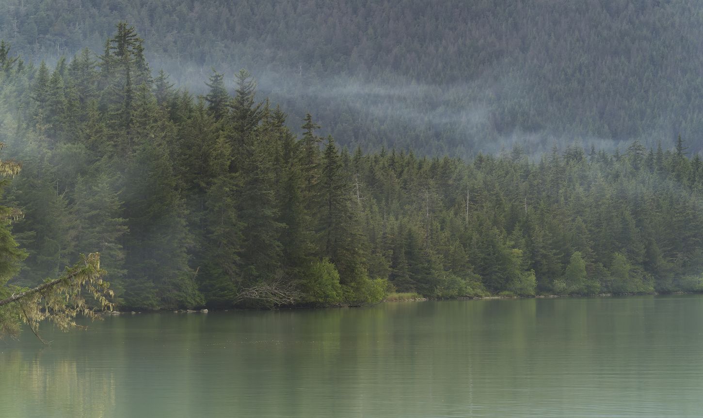 atmósfera de Haines niebla de Haines