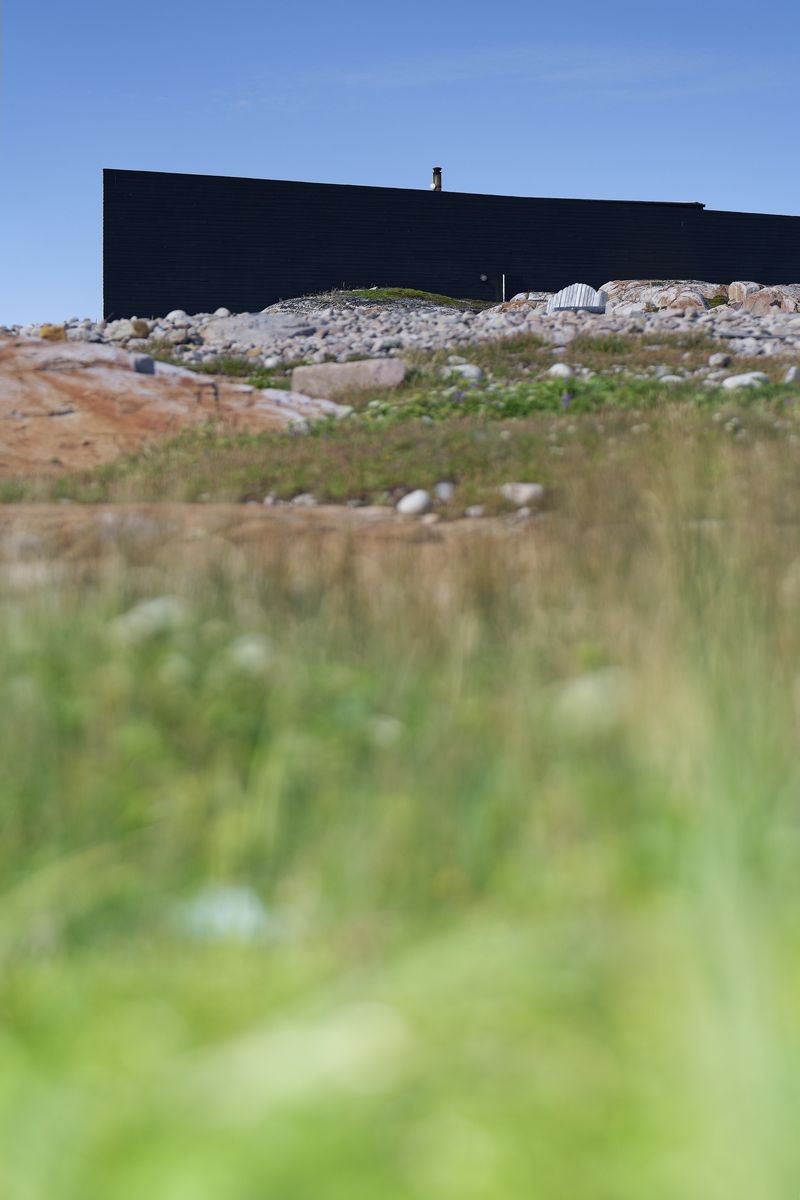 arquitectura en la isla de Fogo vegetación en Fogo