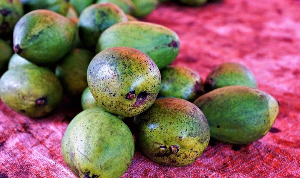 mercado de aguacates en la isla de Mahé, Seychelles frutas en el mercado de Mahé en Seychelles
