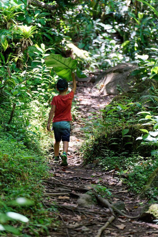 Paseo familiar por el bosque Louis en la cascada del paraíso