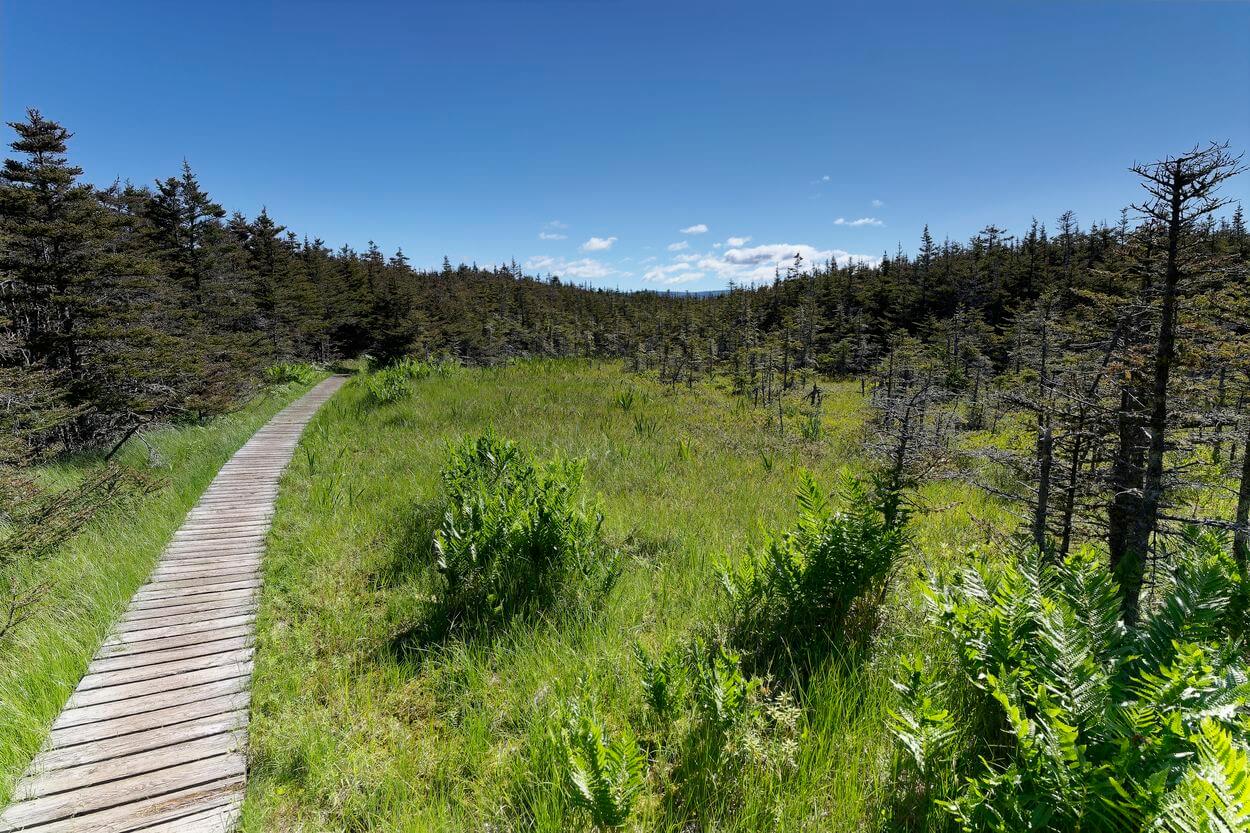 caminata a Green Point, Gros Morne punto verde en Gros Morne