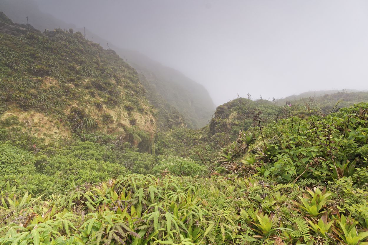 niebla volcánica en La Soufrière niebla volcánica en La Soufrière