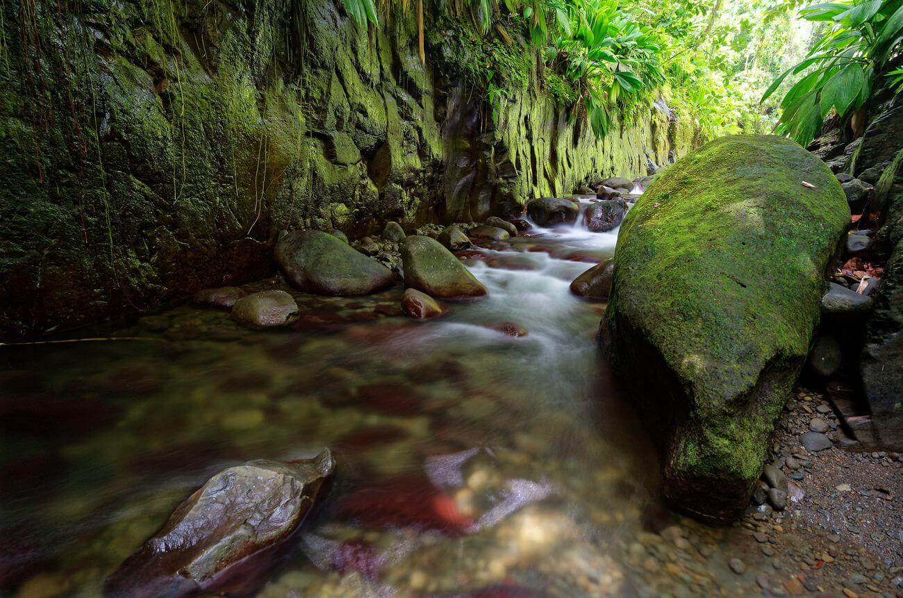 cañón Moustique en Guadalupe río dentro del cañón Moustique