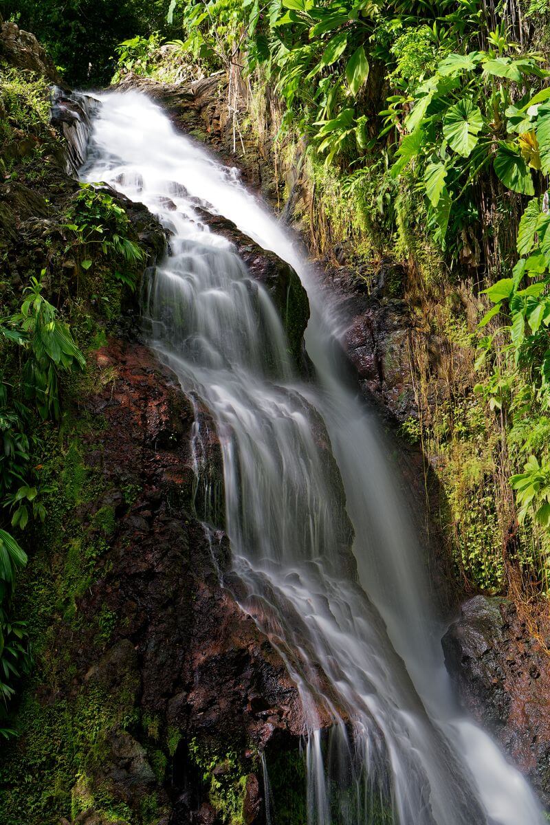 detalles de la cascada Saut du Bras du Fort cascada Saut du Bras du Fort