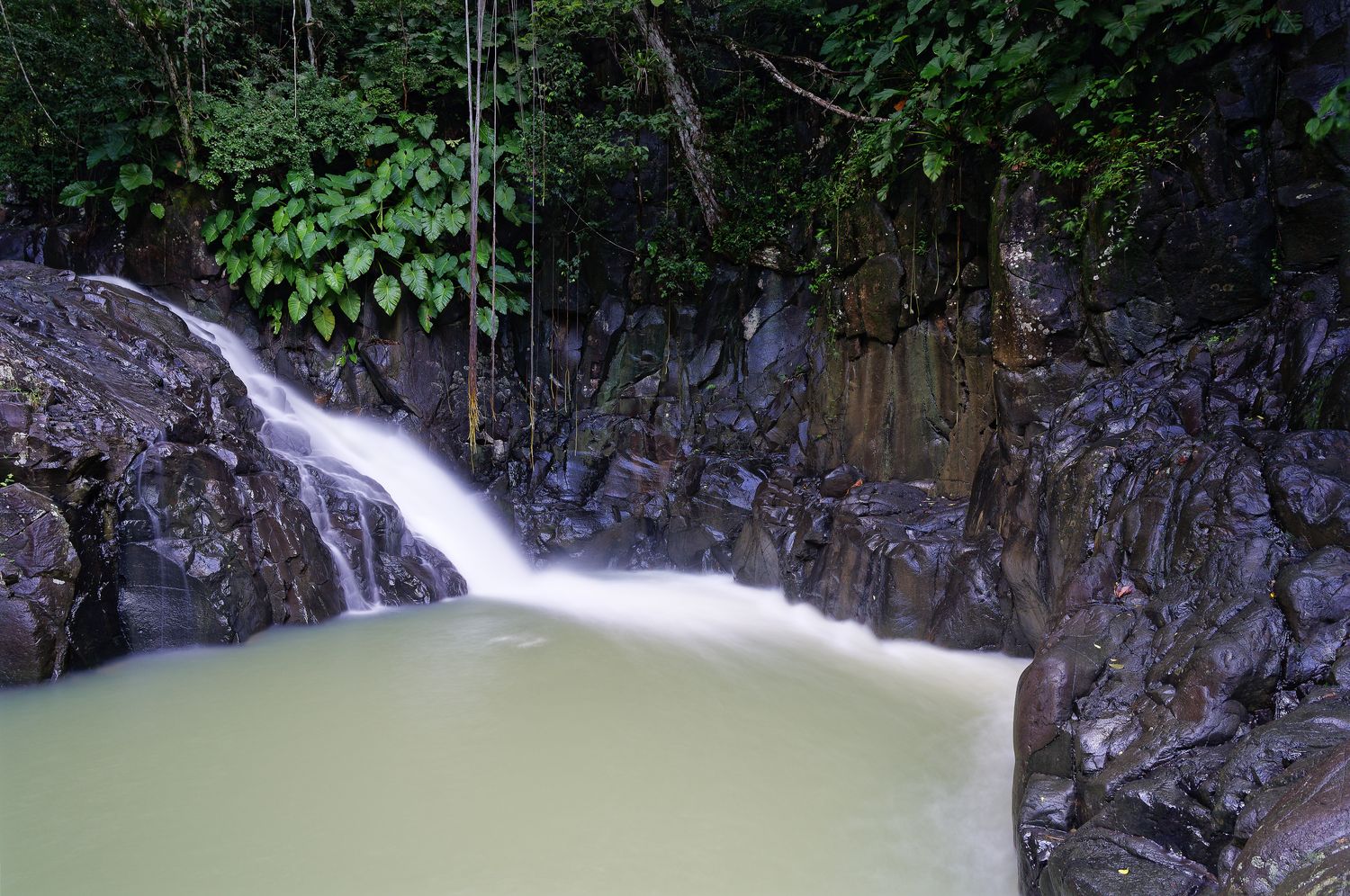 cascada saut acomat cascada principal saut acomat