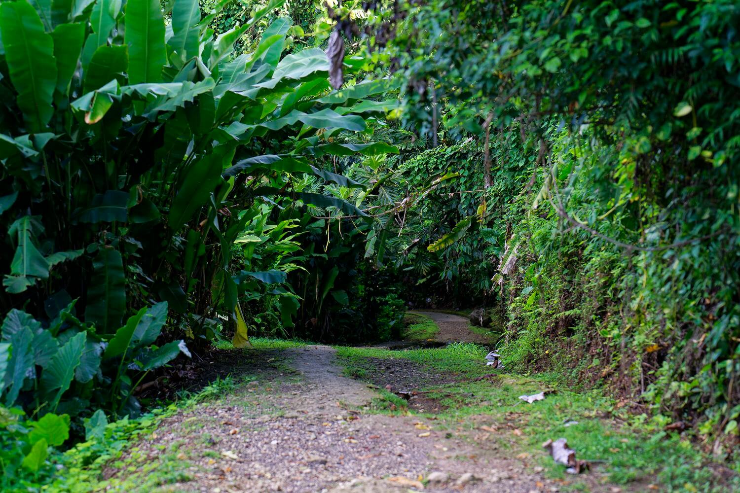 sendero bain des amours sendero bain des amours