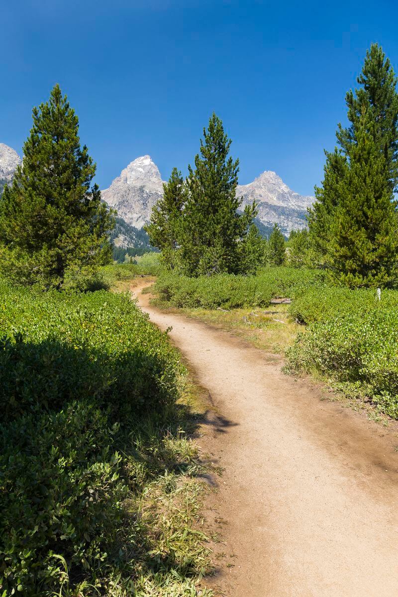 senderismo en el Parque Nacional Grand Teton senderismo alrededor de la montaña Grand Teton