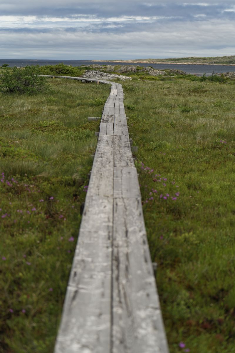camino al estudio Tower en la isla de Fogo 2 estudio Trail Tower