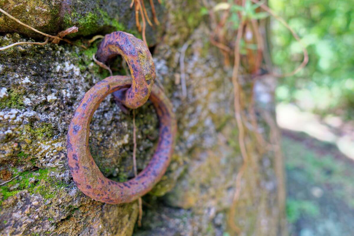 detalle del antiguo molino, sendero Grande Pointe detalle del molino Trois Rivières, Guadalupe