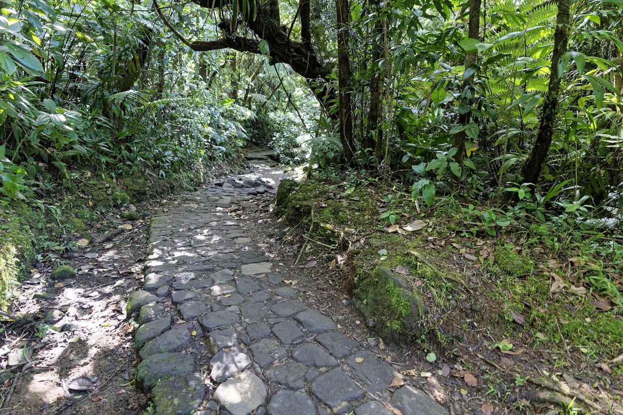 inicio de la Soufrière sendero de la Soufrière