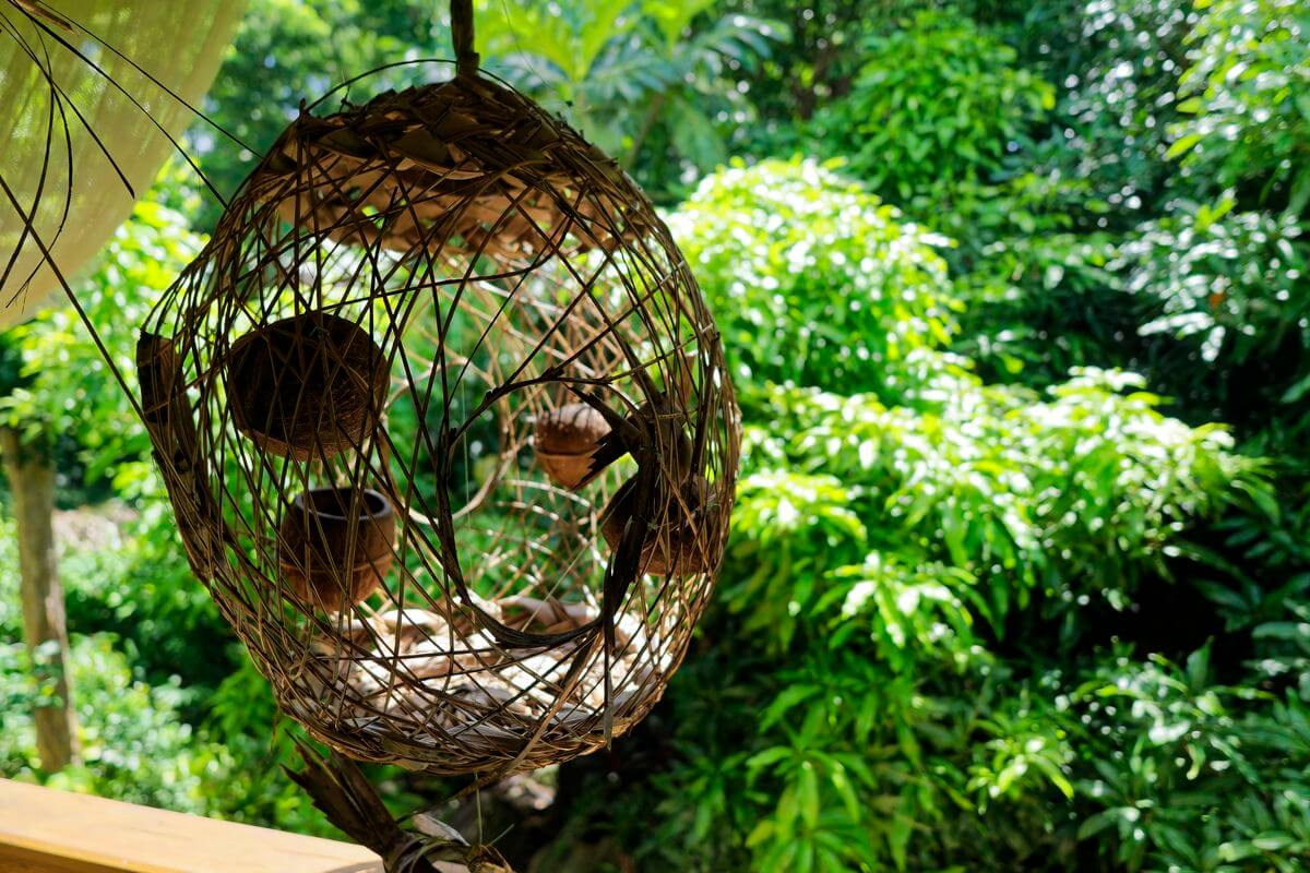 decoración en el Parque de las Orquídeas Fauna y flora en el Parque de las Orquídeas