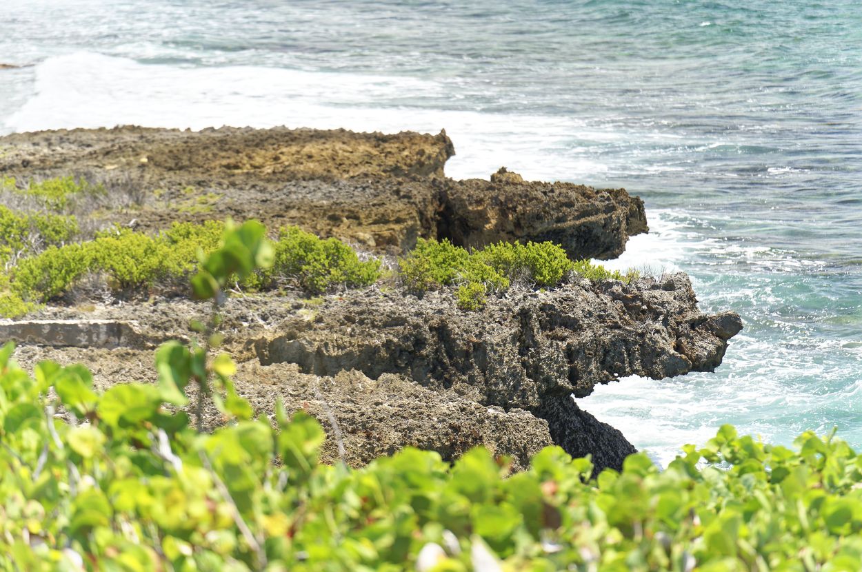 descubre los acantilados de Îlet du Gosier acantilados de Îlet du Gosier