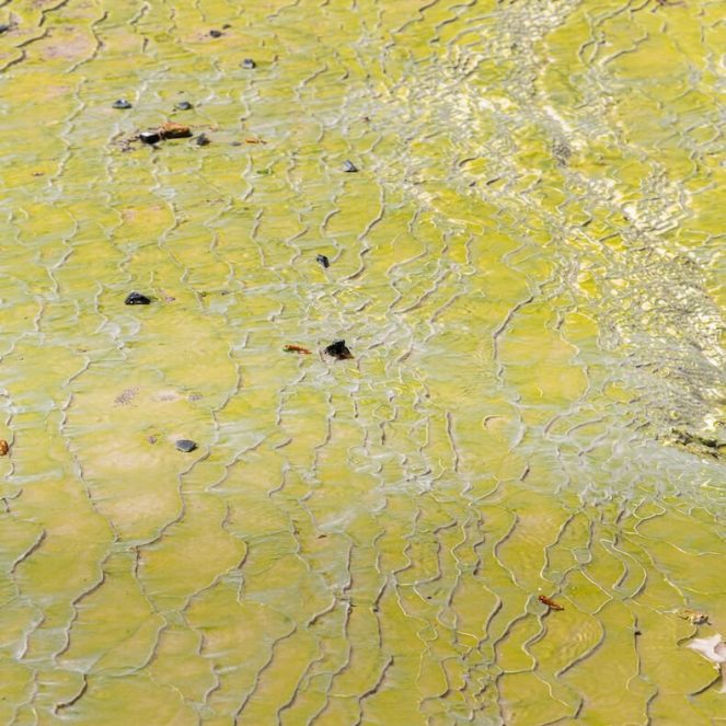 depósito de sílice en Wai-O-Tapu sílice de Wai-O-Tapu, Nueva Zelanda