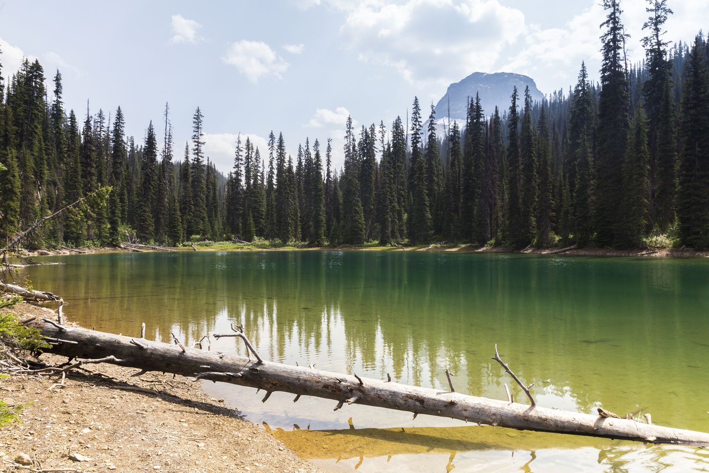 dónde dormir cerca de Banff dónde alojarse en Banff