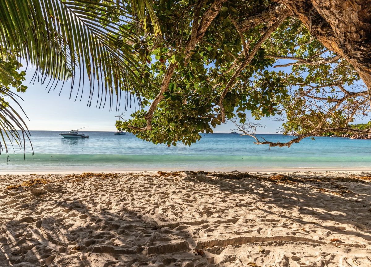 alojarse en Praslin, Seychelles isla Praslin, Seychelles