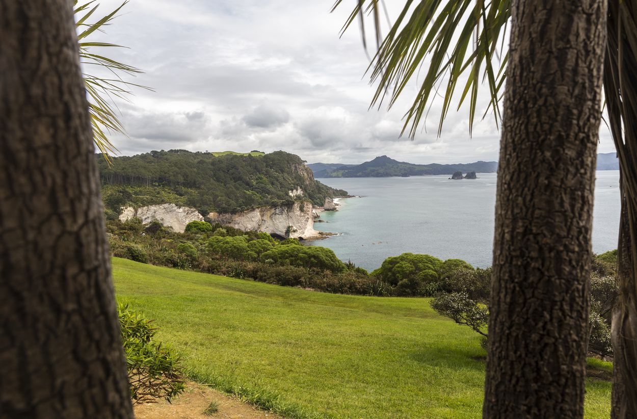 alojarse en Coromandel dónde alojarse en Coromandel