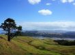 dónde alojarse en la península de Coromandel