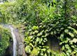Cascada Cascade de Bis, Guadalupe