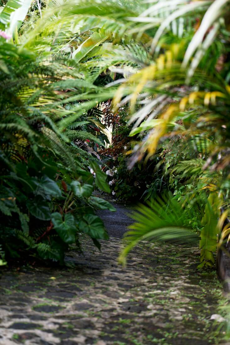 entrada a la casa de la banana Entrada a la casa de la banana y al museo en Trois Rivière