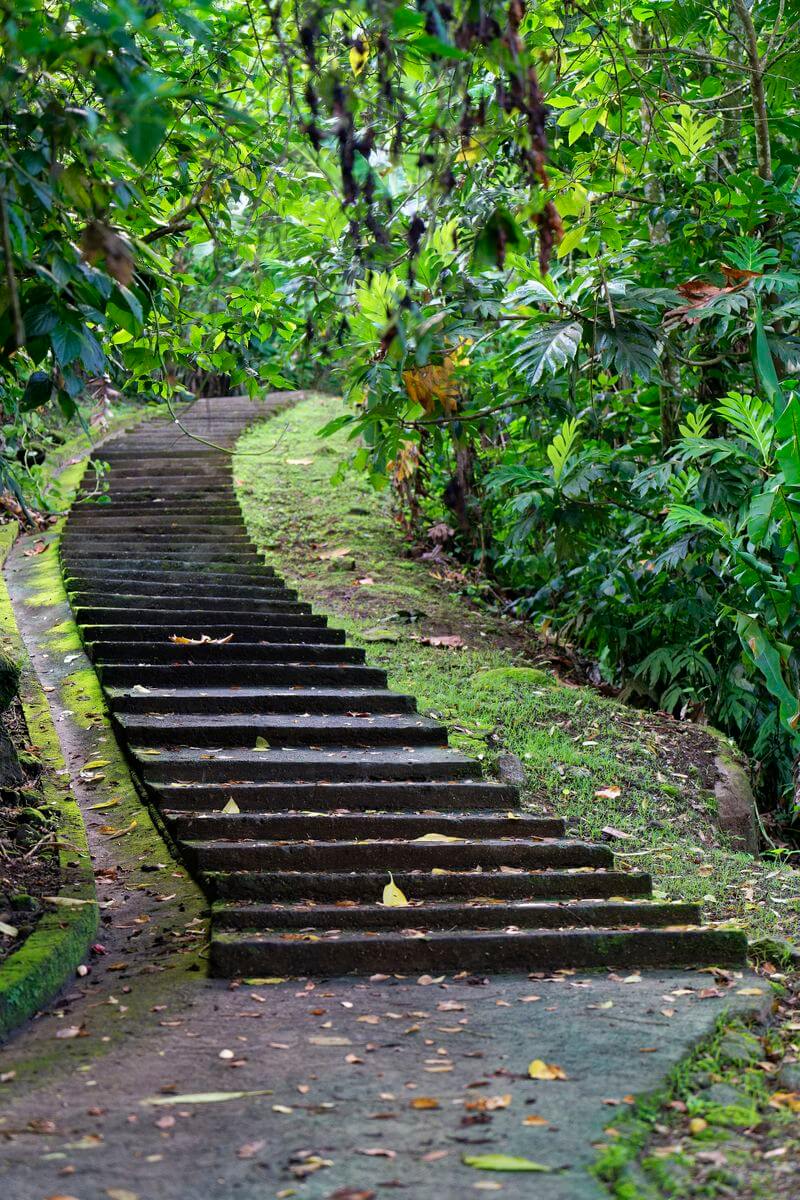 escaleras al bain des amours escaleras al bain des amours