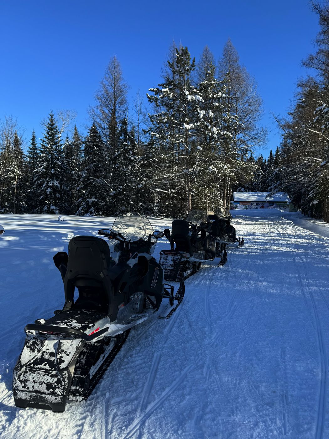 experiencia en moto de nieve en las Laurentides experiencia en moto de nieve en las Laurentides