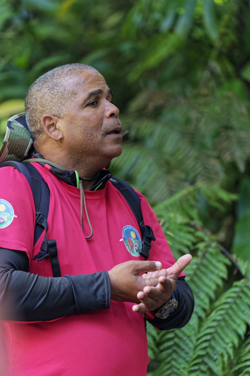 explicaciones del guía en la caminata explicaciones del guía en la caminata a la Soufrière