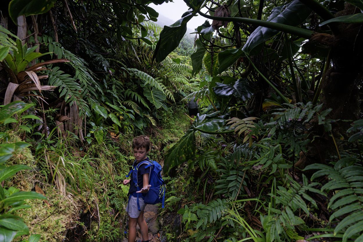 Soufrière con la familia louis haciendo senderismo