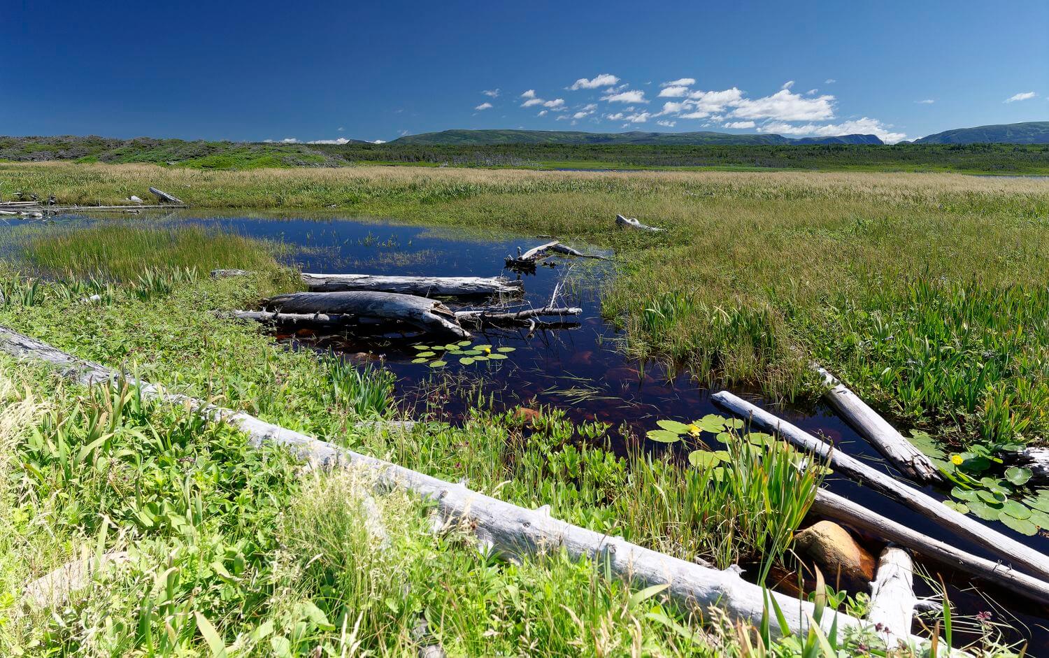 senderismo en Green Point, Gros Morne paisajes de Gros Morne