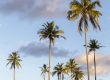 viajar a África en Mozambique y la isla de Ibo