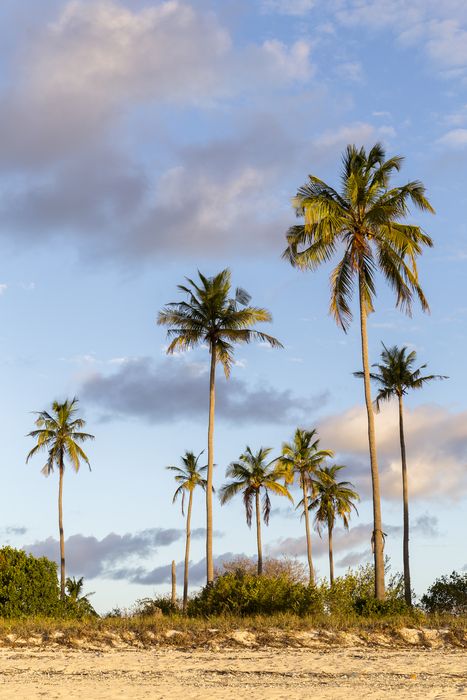 Isla de Ibo, Mozambique viajar a África en Mozambique y la isla de Ibo