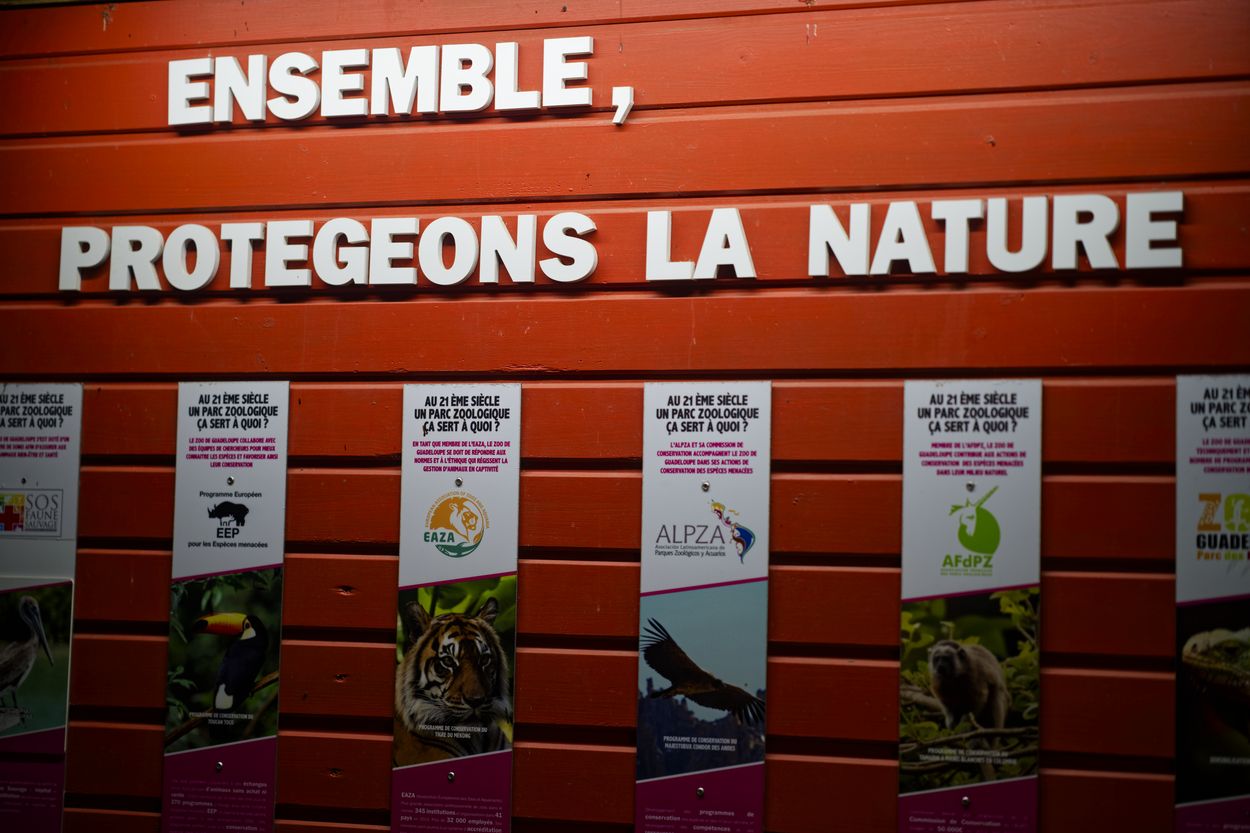 insectario en el zoológico dentro del insectario