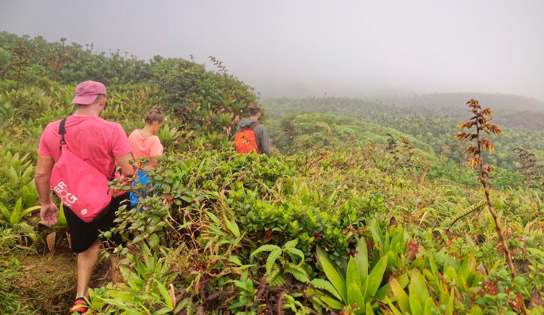 la soufrière en Guadalupe la soufrière en Guadalupe