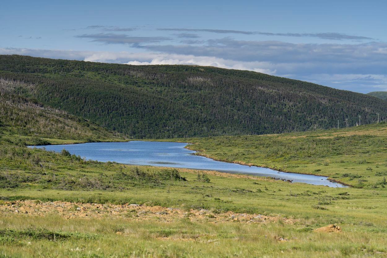 lago en jardín verde Gros Morne lago en jardín verde Gros Morne