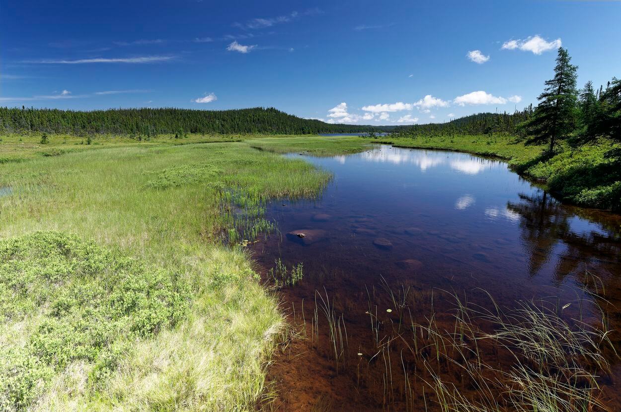 sendero Lake Sandy Terra Nova sendero Lake Sandy en Terra Nova