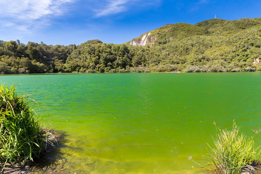 lago increíble alrededor de Wai O Tapu lago alrededor de Wai O Tapu en Nueva Zelanda