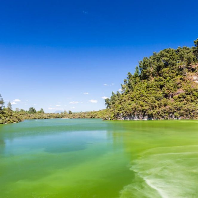 lago verde Wai-O-Tapu lago verde al final de Wai-O-Tapu