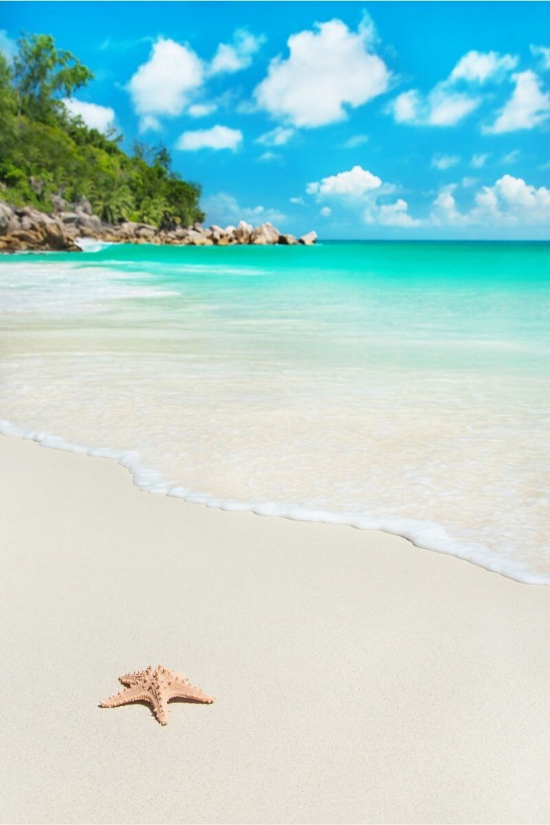 las playas más hermosas de Praslin las playas más hermosas de Praslin, Seychelles