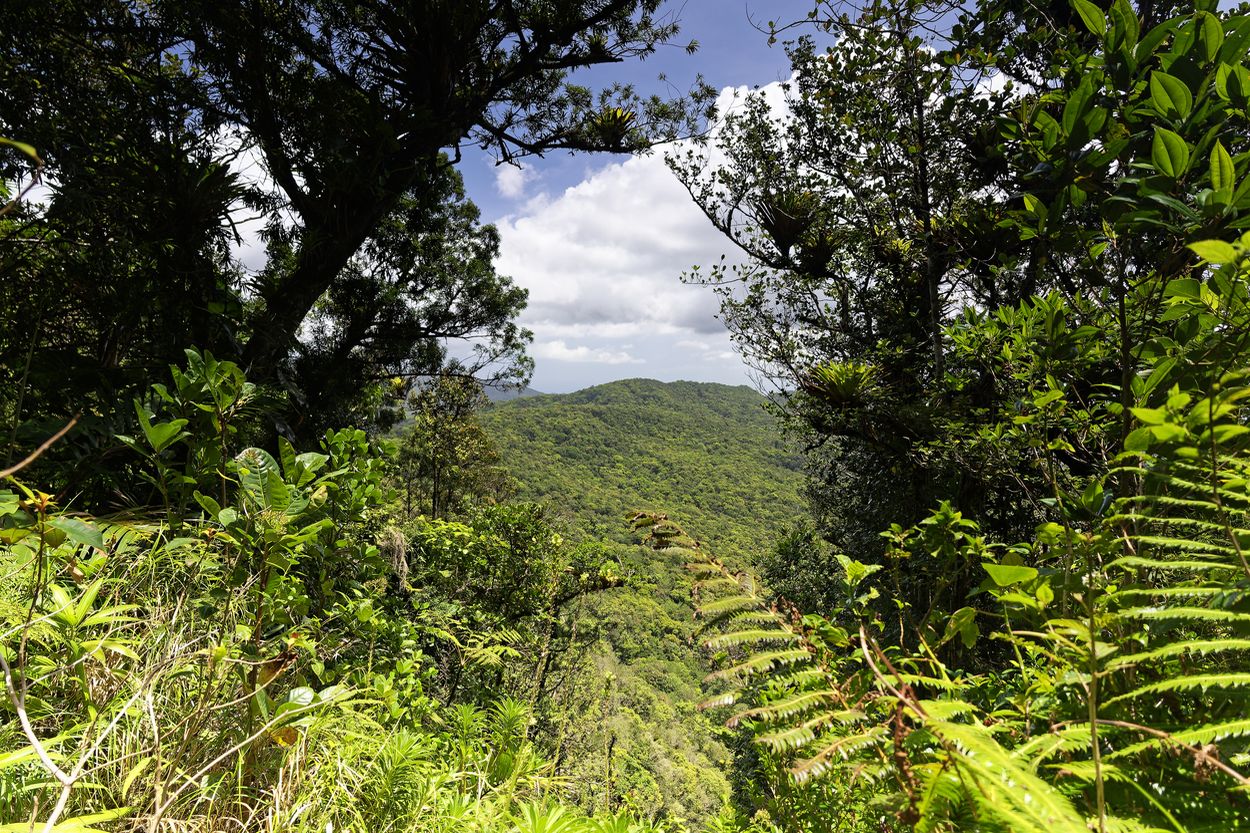 alojamiento ecológico en Guadalupe alojarse en la naturaleza en Guadalupe