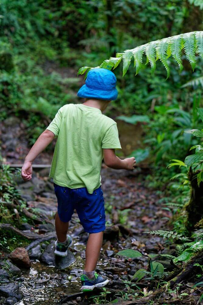 Louis en Galion Falls sendero de Galion Falls y Louis