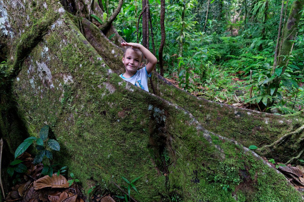 Louis en la piscina azul en las raíces del árbol Louis en el Bassin Bleu