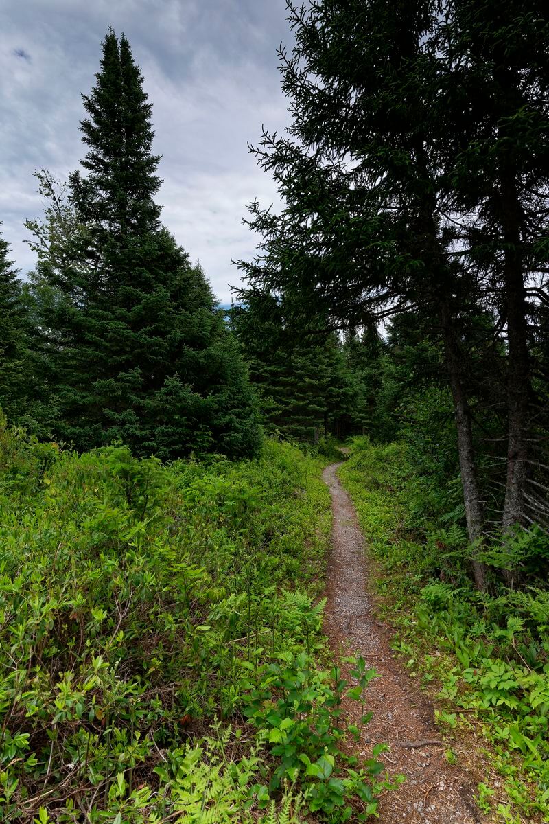 sendero Louis en Terra Nova sendero Louil en Terra Nova
