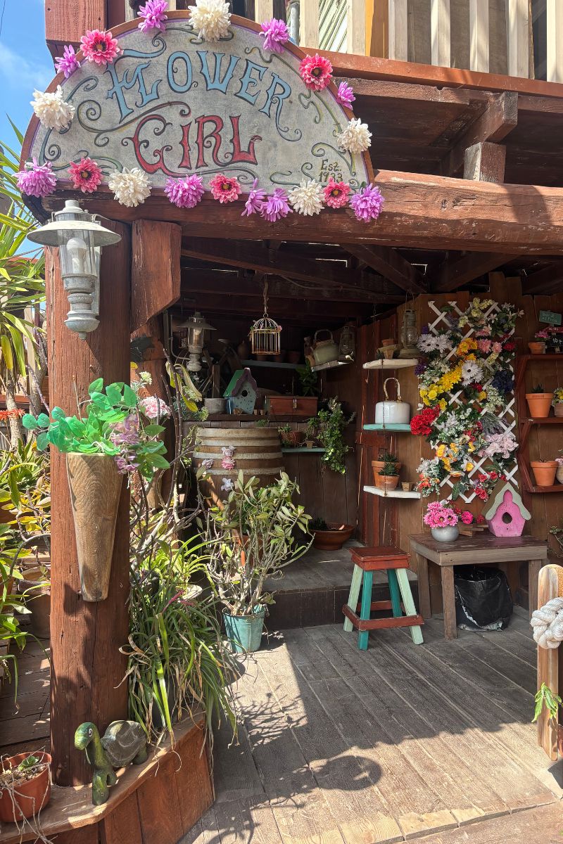 casas de madera de la película Popeye florerías en el pueblo de Popeye