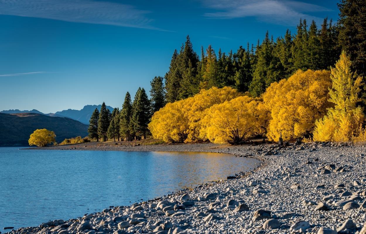 consejos para alquilar una furgoneta en Nueva Zelanda alquilar una furgoneta en Nueva Zelanda