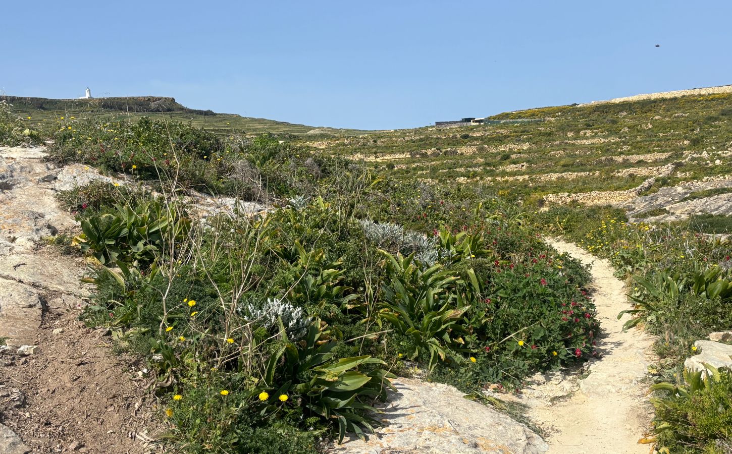naturaleza en Gozo, Malta sendero de senderismo en Gozo